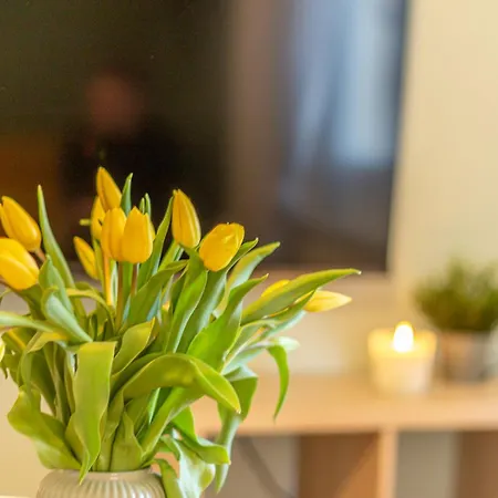 2 Steps Away From With Private Parking * Bologna